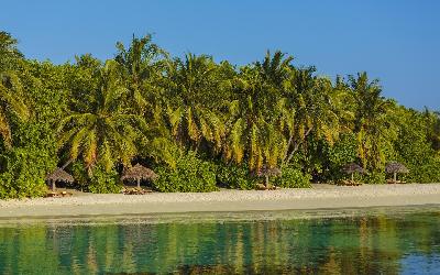 Resort Garden and Beach