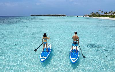 Stan Up Paddle Board