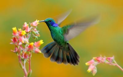 AdobeStock_109770376