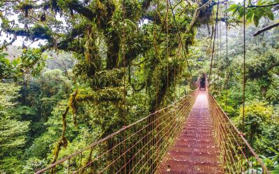 Kostarika_Monteverde_iStock_000060091984_Full