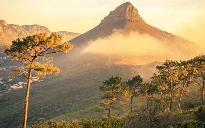 JAR | Cape Town | Signal Hill