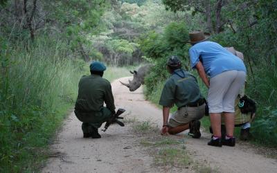 Zimbabwe | Matobo Hills NP
