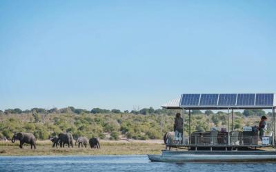 Botswana | Chobe NP