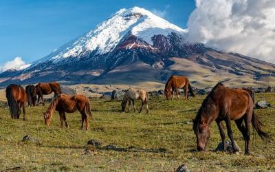 cotopaxi 1