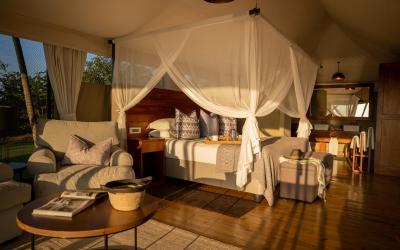 Zimbabwe | Fothergill Island - Lake Suites