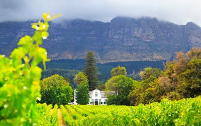 Jižní Afrika | Země vína, oblast Stellenbosch