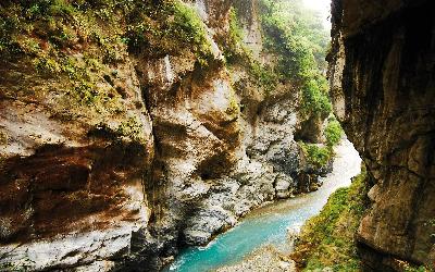 Taroko