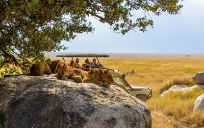 Tanzánie | Serengeti