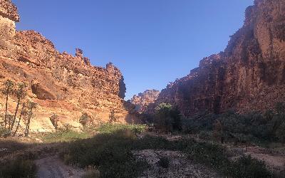 Wadi al Disah