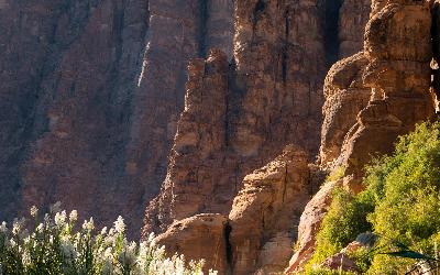 Wadi al Disah