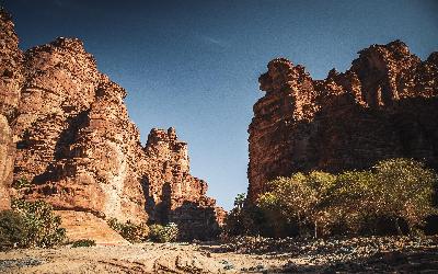 Wadi al Disah