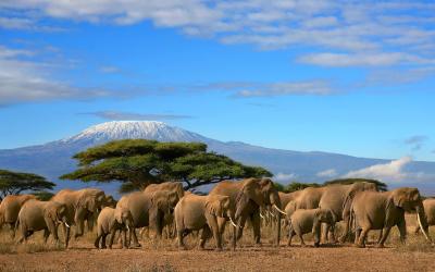 Amboseli