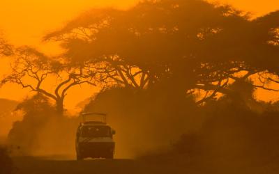 Masai Mara