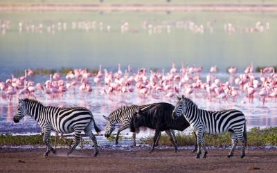 Lake Nakuru