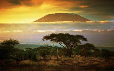 Amboseli