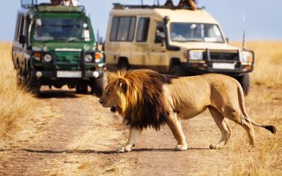 Masai Mara