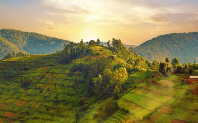  Bwindi Impenetrable Forest National Park | Uganda