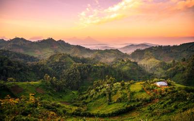  Bwindi Impenetrable Forest National Park | Uganda