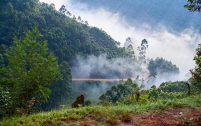 Kibale | Uganda