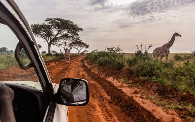 Murchison Falls national park | Uganda