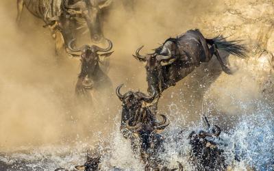 Masai Mara National Reserve | Keňa