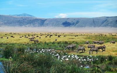Ngorongoro Crater | Tanzánie