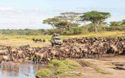 Serengeti National Park  | Tanzánie