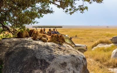 Serengeti National Park  | Tanzánie