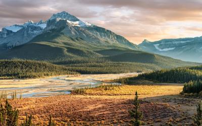 Saskatchewan River Crossing  | Kanada