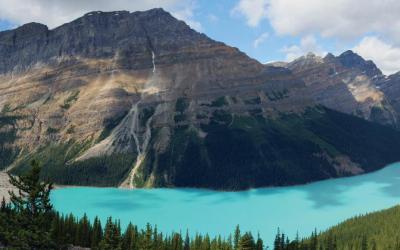 Peyto lake