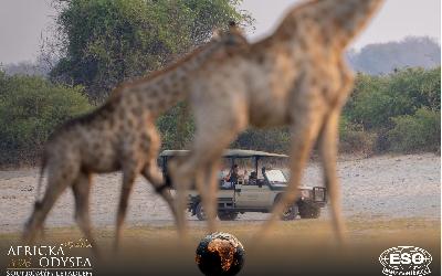 AfrickaOdysea2026_02