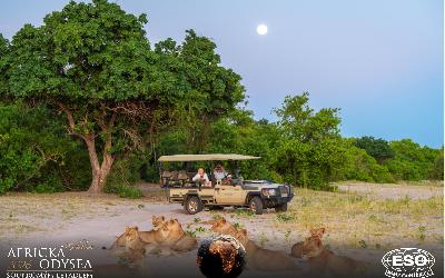 AfrickaOdysea2026_05