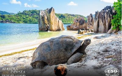 AfrickaOdysea2026_39