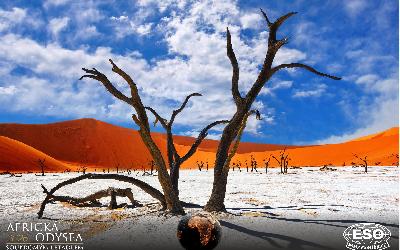 AfrickaOdysea2026_45