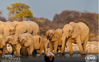 AfrickaOdysea2026_47