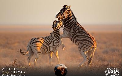 AfrickaOdysea2026_49