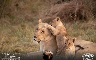 AfrickaOdysea2026_54