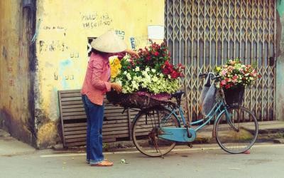 flower Hanoi